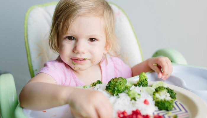 Lunch recipes that your toddlers will love