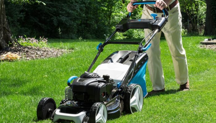 Make the Most of Lawnmower Sales