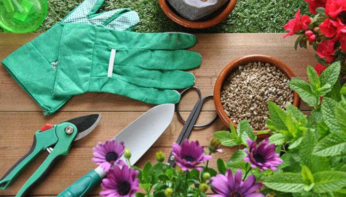 Make your gardening easy and effortless using the right garden tools