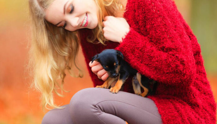 Most trusted places to adopt a pet in the country