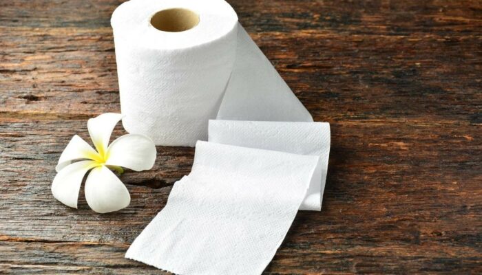 Paper towel wholesale dealers and manufacturers