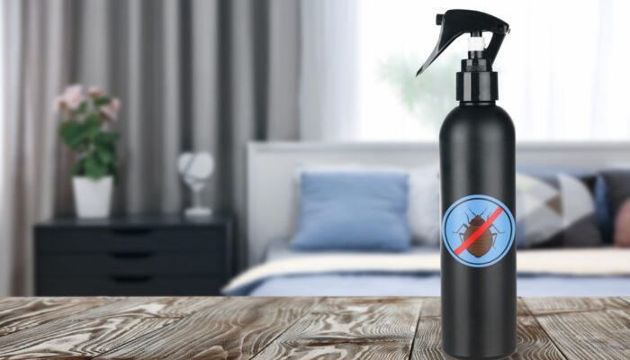 Popular Bed Bug Sprays to Choose From