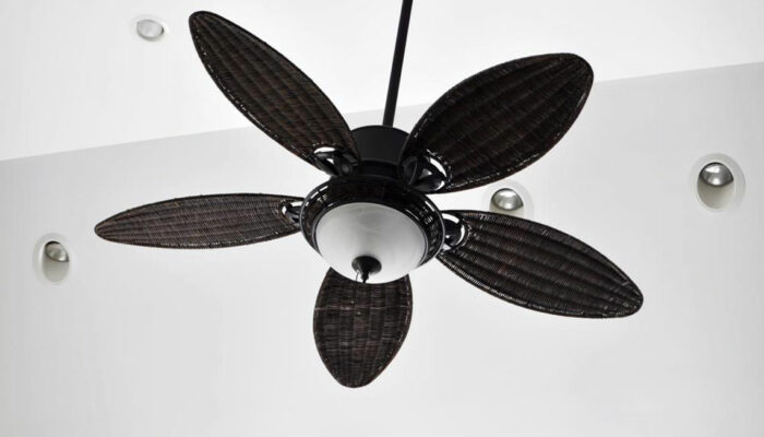 Popular ceiling fan brands to watch out for