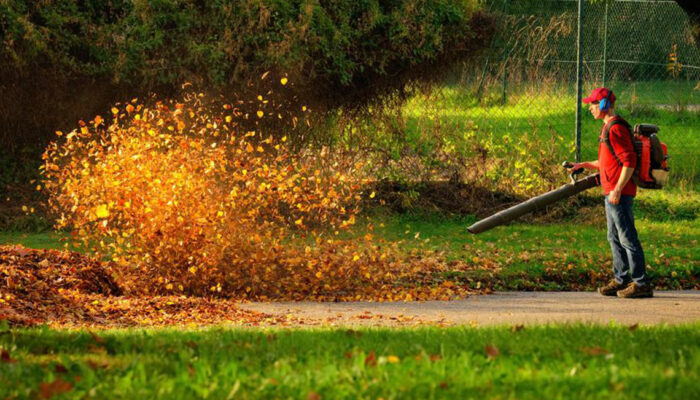 Popular affordable leaf blowers under $100