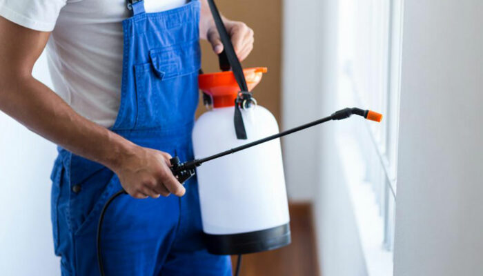 Popular pest control services in the country