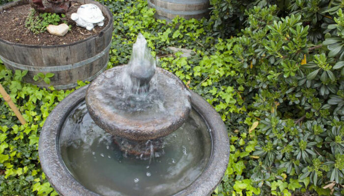 Popular types of water fountains you should know about