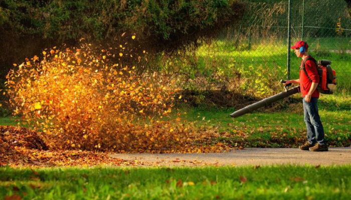 Planning on buying a leaf blower? Here&#8217;s what you need to know