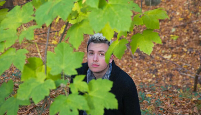 Pruning of maple trees