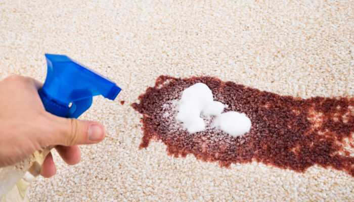 Reasons Why You Should Invest In The Best Carpet Stain Removers