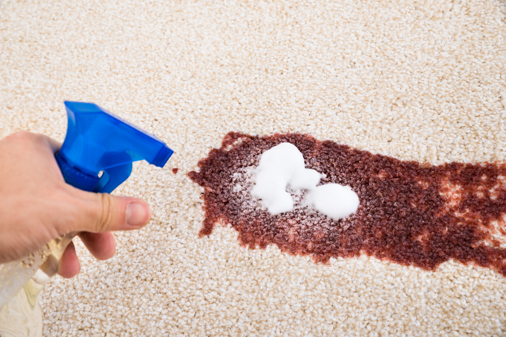 Reasons Why You Should Invest In The Best Carpet Stain Removers