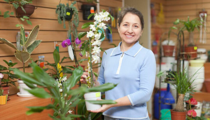 Repot your orchids with care