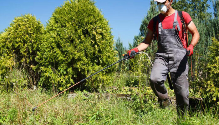 Safety guidelines to follow when removing weeds from the garden