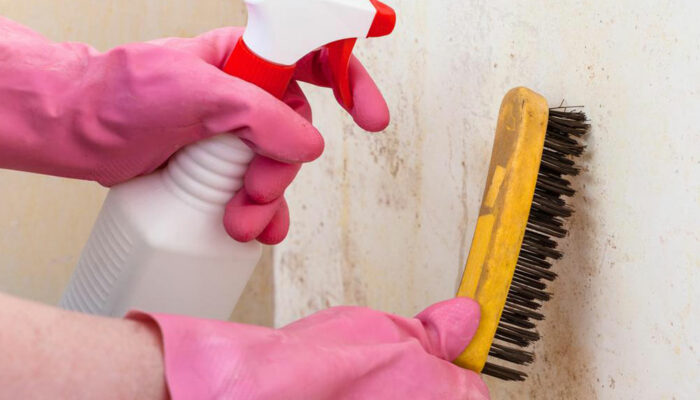 Simple cleaning remedies to ward off mold and mildew growth