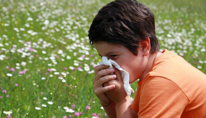 Signs of pollen allergies one should know about