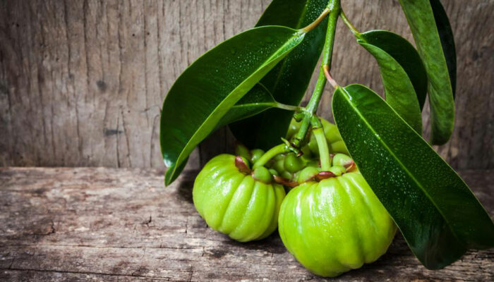 Some cons associated with garcinia cambogia