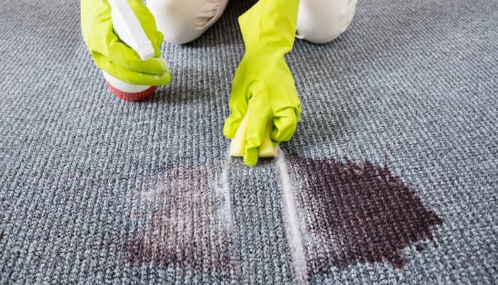 The Best Carpet Stain Removers You Must Know About