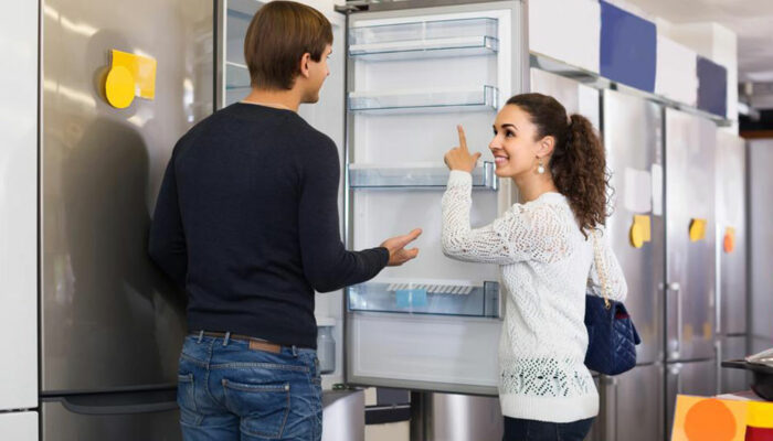 The art of choosing the perfect refrigerator type