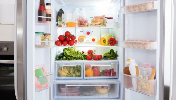 The best mini refrigerators