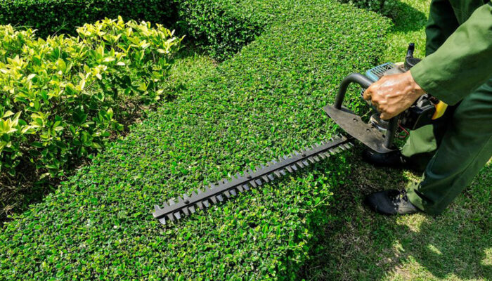 The best weed trimmers to beautify your garden