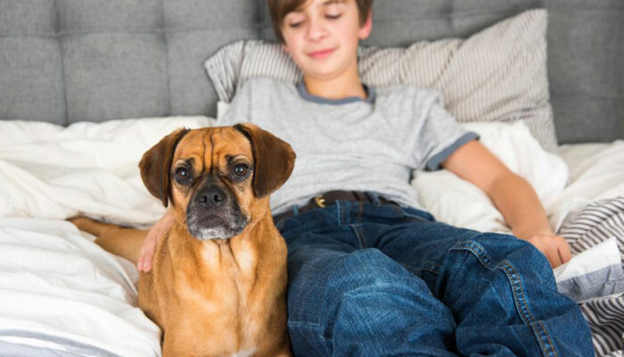 Things you need to know before adopting a dog