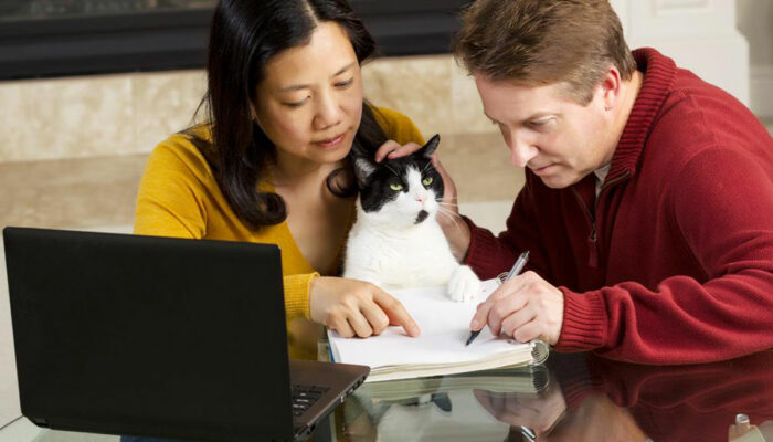 Things you should know about pet insurance