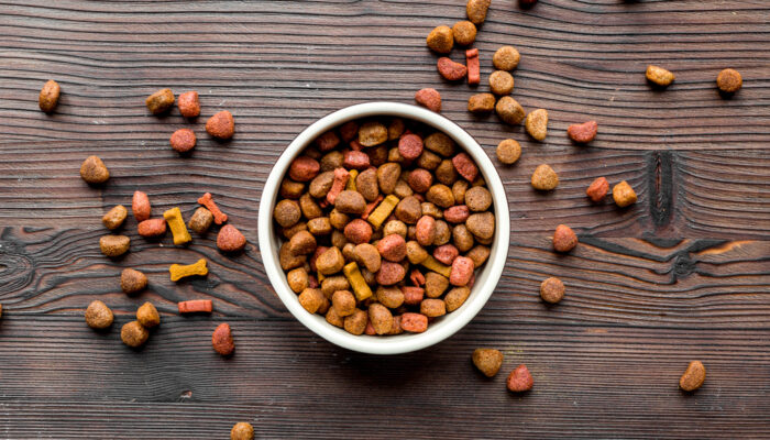 Tips for Buying the Best Dog Food