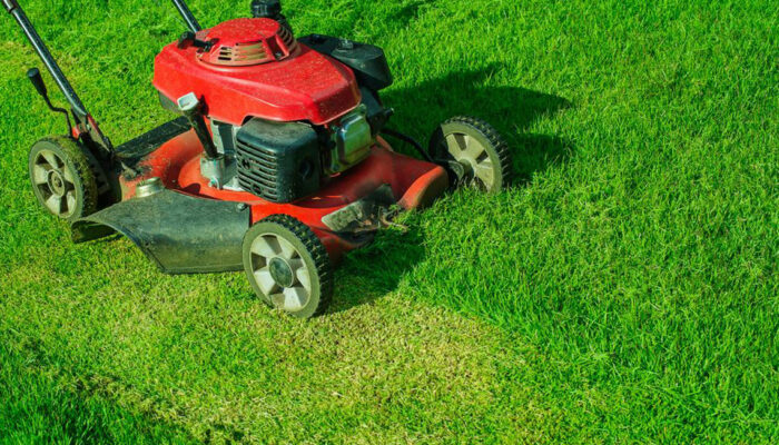 Tips for choosing the best lawn mower