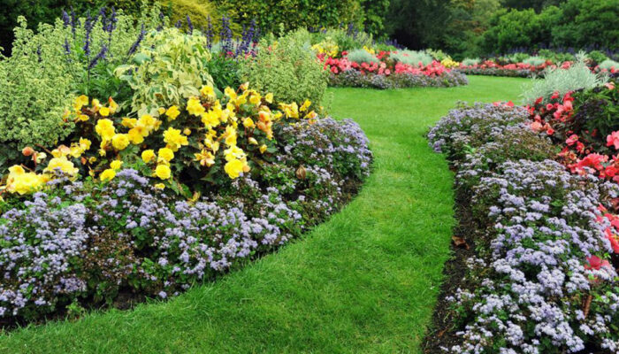 Tips for maintaining a neat and beautiful garden