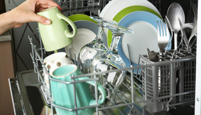 Tips to Keep Your Dishwasher Free from Fungi and Yeast