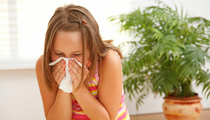 Tips to prevent allergies from three primary sources