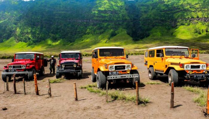 Top 4 Jeeps for Sale