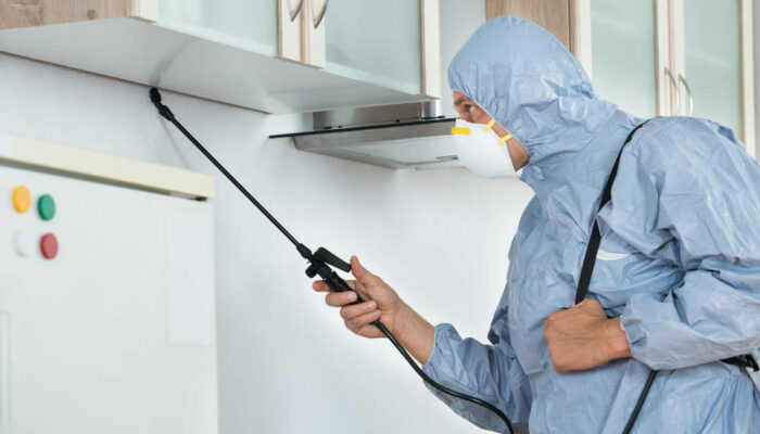 Top 4 local pest control companies