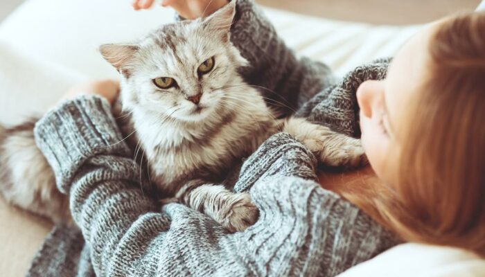 Top 5 Pet Accessories for Your Cat