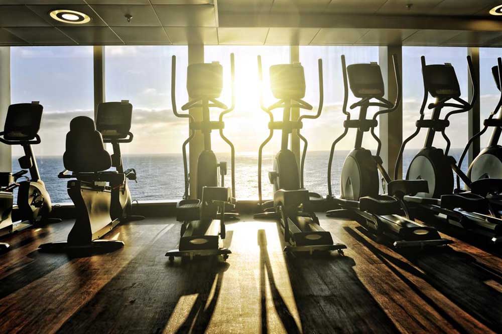 Top 6 Elliptical Machines of 2018