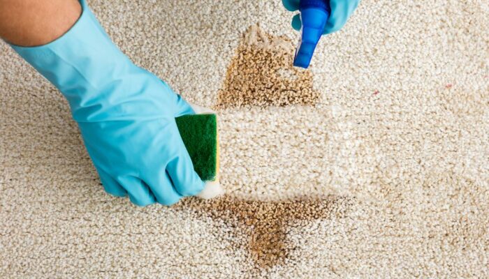 Top 6 ways to keep your carpet clean