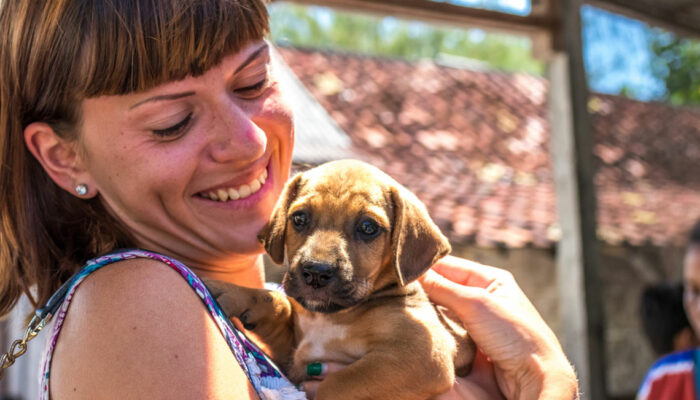 Top ten puppy-adoption centers