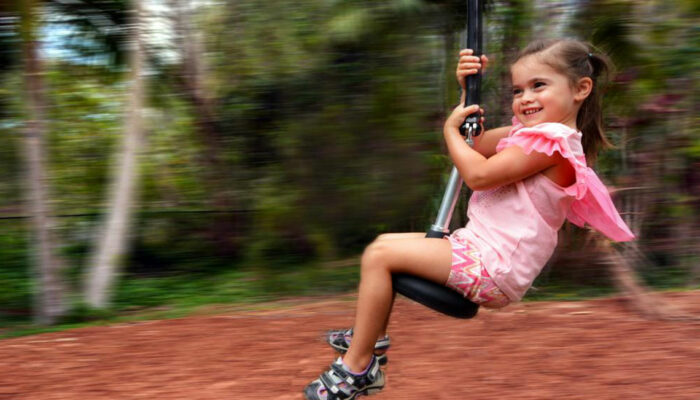 Top two features to focus on while shopping for swing sets 