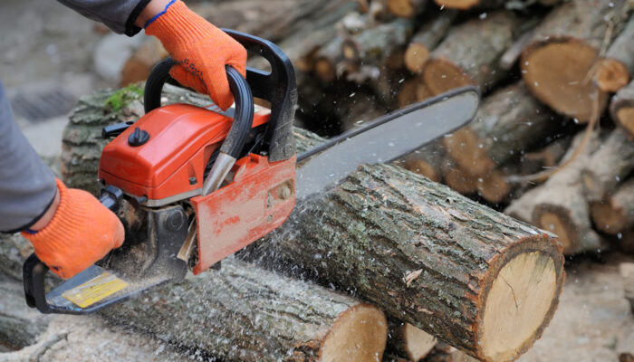 Top Brands to Buy a Chainsaw From