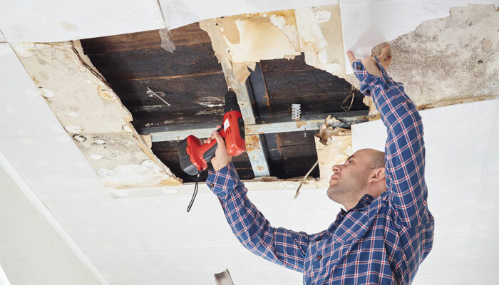 Top Reasons to Hire a Professional Water Damage Restoration Company