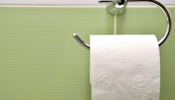 Types of bathroom tissue holders