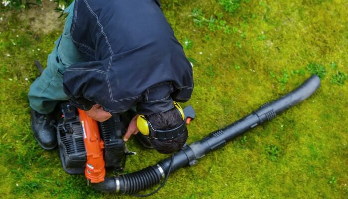 Types of leaf blowers and uses