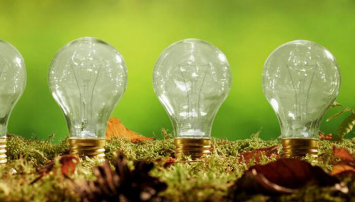 Types of light bulbs