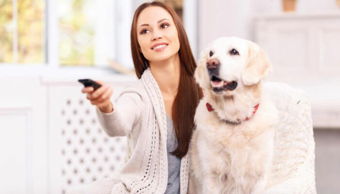 Types of removers that can help you fight pet odor!