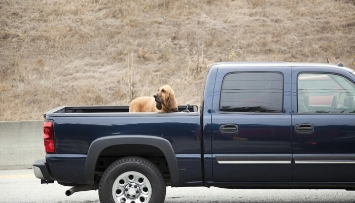 Types of truck bed covers