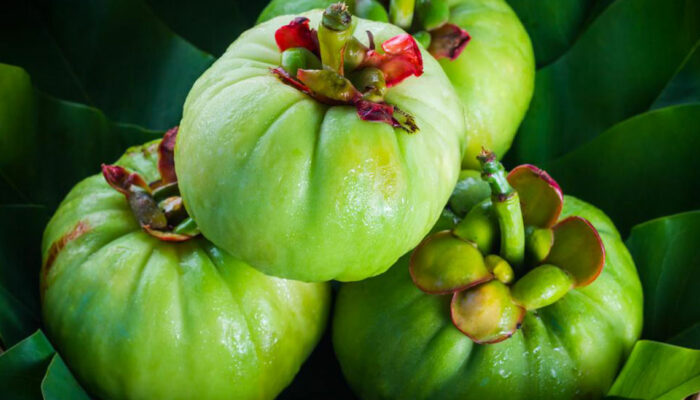 Understanding how Garcinia Cambogia works