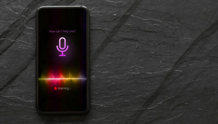 Voice assistants &#8211; The next big thing in technology