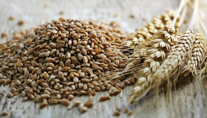 Why You Need to Add Wheat Berries to Your Diet