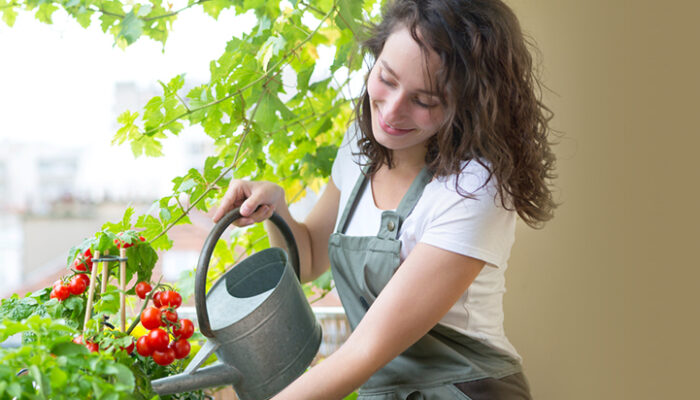 Why You Should Protect Your Plants With a Water Spray