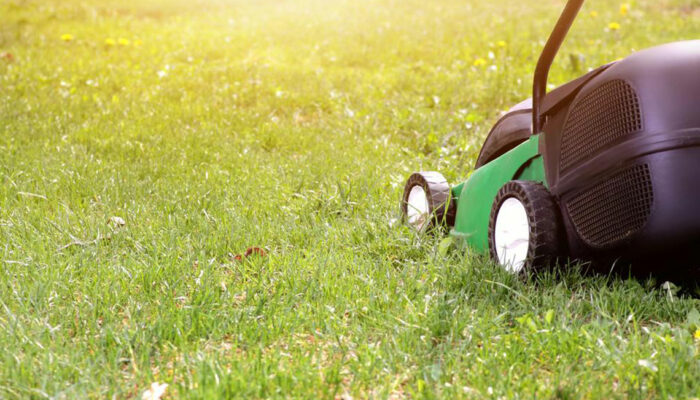 Your guide to choosing an ideal lawn mower