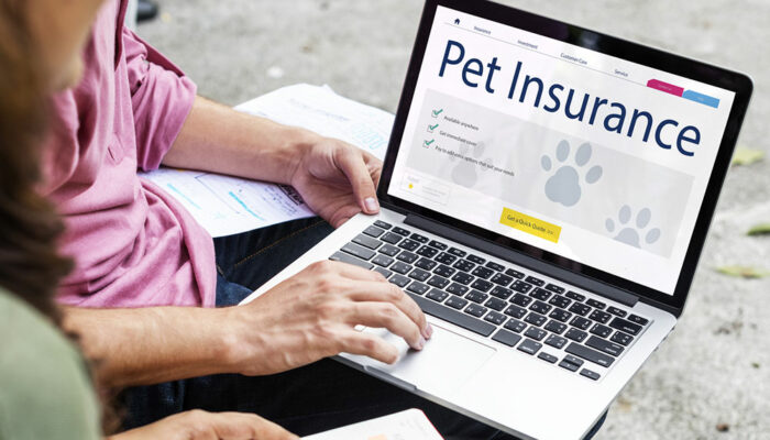 4 Best Pet Insurance Companies in the US